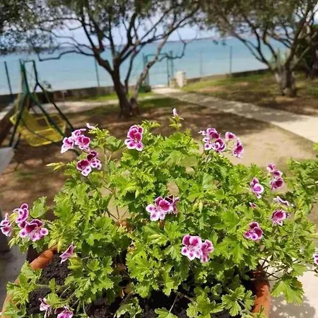 Ferienhaus Seaside House Privlaka, Zadar - 22867 Privlaka (Zadar)